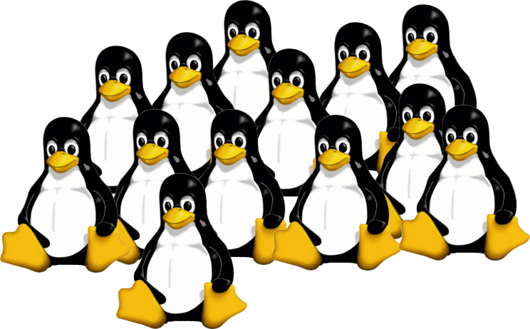 Create accounts on a Raspberry PI -or- sharing a pi with your siblings ...